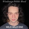Windswept Pebble Mood / Wild Wild One