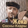 Сосны-Кедры, 2003