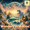 Wonders in Motion