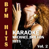 Karaoke: Michael Bolton Hits, Vol. 2