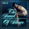 The Sound of Silence, Vol. 2