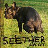 Seether: 2002-2013, 2013