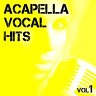 Acapella Vocal Hits Vol.1