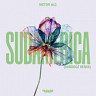 Sudamérica