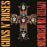 Appetite For Destruction