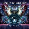 Moonshine, 2017