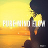 Pure Mind Flow, Vol. 1