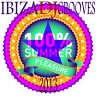 Ibiza DJ Grooves 2013, 2013
