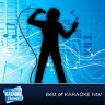 The Karaoke Channel - Karaoke Hits of 1996, Vol. 10