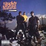 Naughty By Nature, 1991