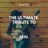 The Ultimate Tribute To Seal, 2019