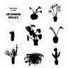 Uncommon Species