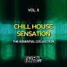 Chill House Sensation, Vol. 5