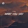 What You Say