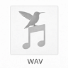WAV