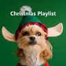 Christmas Playlist