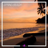 Spring Beach