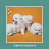 Deep Pup Moments