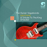 Santana - A Tribute To The King Of Guitar
