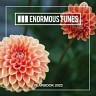 Enormous Tunes - The Yearbook 2022, 2022