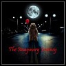 The Imaginary Journey