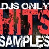 DJs Only - Hits Samples