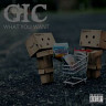 What You Want