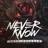 Never Know - Single, 2016