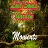 Moments