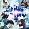 Fliva Of New, Vol. 1