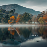 Cloches d'Arbres
