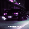 Baraccuda