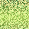 Polymod