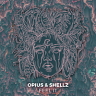 Opius