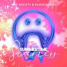 Vice Society