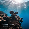 Corren Cavini