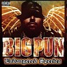 Big Pun