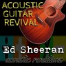 Acoustic Guitar Revival