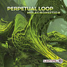 Perpetual Loop