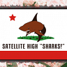 Satellite High