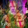 Drubon