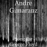 Andre Gimaranz