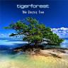 Tigerforest