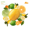 Citra