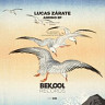 LUCAS ZARATE