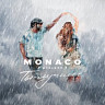 MONACO project