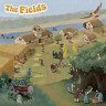 The Fields