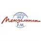 Мензелинск FM